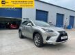 2019 19 LEXUS NX 2.5 300H 5D 195 BHP Image