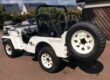 Mitsubishi Willys Jeep J53 Image