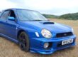 2002 Subaru IMPREZA WRX 2.0 TURBO AWD AUTO SPORTSWAGON (IMPORT MODEL) Estate Pet Image