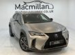LEXUS UX 250H 250H F SPORT 2019 Image