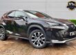2014 Lexus NX 300h 2.5 F-Sport 5dr CVT - FULL LEXUS SERVICE ESTATE Petrol/Electr Image